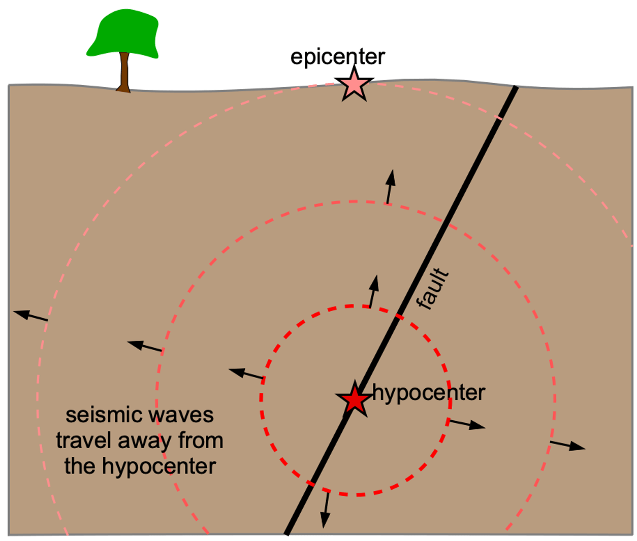 Diagram of an earthquake below ground on a fault, at a location referred to as the hypocenter. Directly above the hypocenter at the surface of Earth is the epicenter. Seismic waves spread outward in all directions from the earthquake hypocenter.