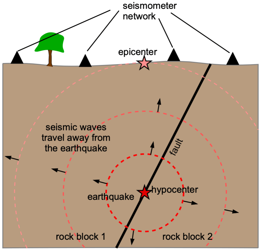 Diagram of an earthquake below ground on a fault. Seismic waves spread outward in all directions from the earthquake hypocenter. A set of four seismometers located across the landscape gather data about the arriving seismic waves. The network of seismometers are used to determine the location and magnitude of the earthquake.