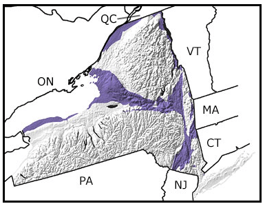 Ordovician outcrops in NYS occur along the southern edge of Lake Ontario, around the base of the Adirondacks, and in southeast NYS.