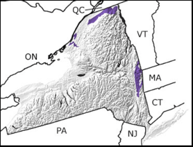 There are outcrops of Cambrian rocks around the periphery of the Adirondack mountains, especially to the north and southeast.